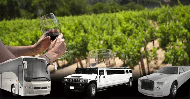 limo wine tours sfo