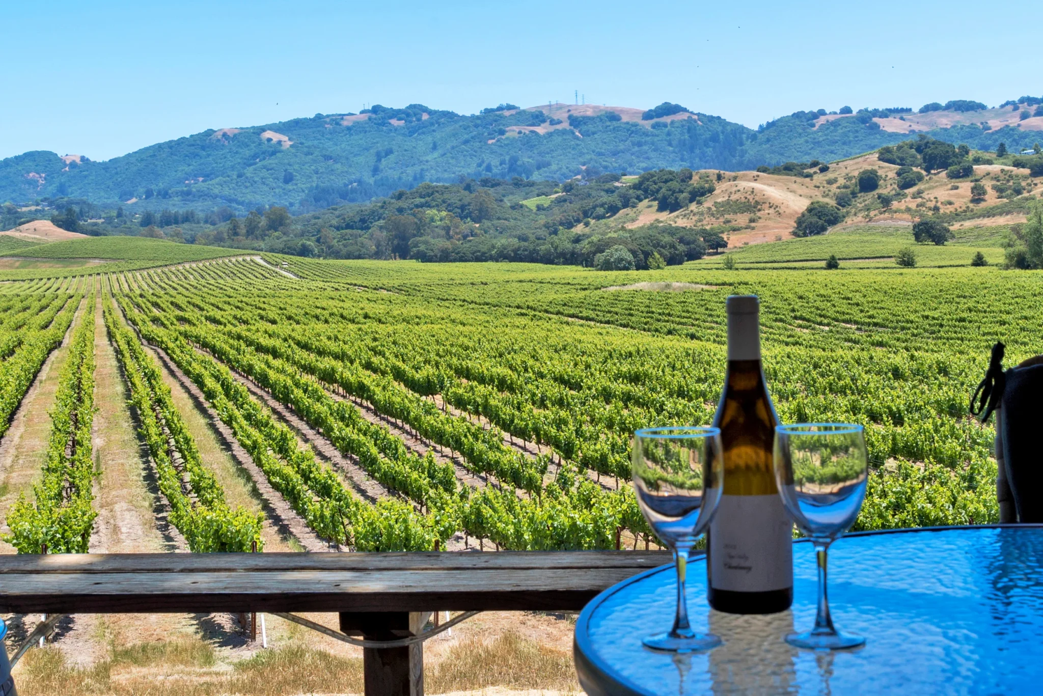 sonoma wine tasting tour