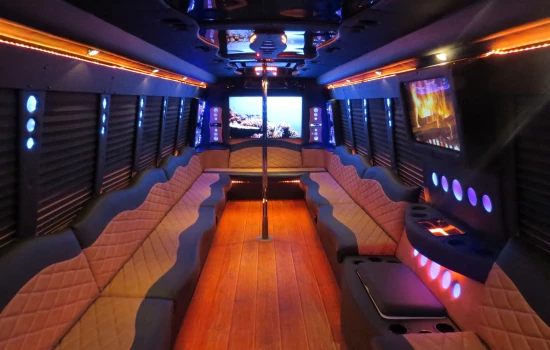 party bus (2)