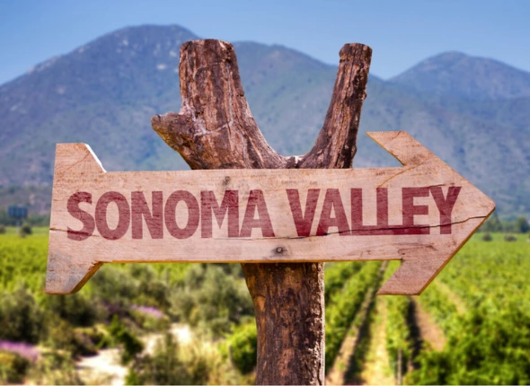 sonoma valley board