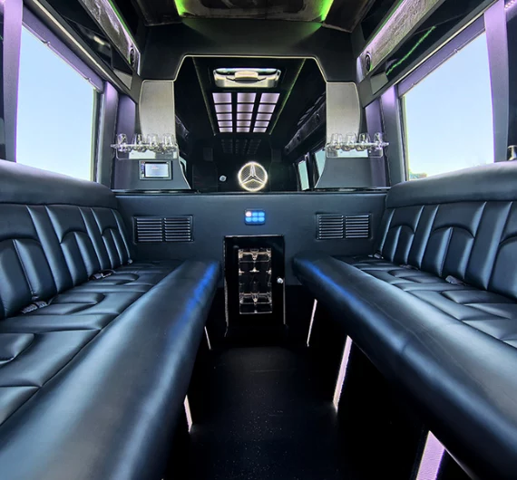 limo service (3)